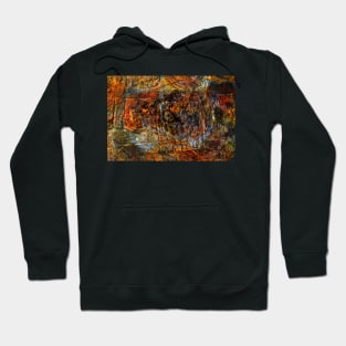 Traces Hoodie